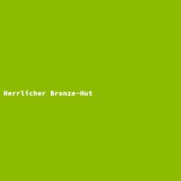 Herrlicher Bronze-Hut