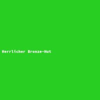 Herrlicher Bronze-Hut