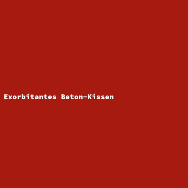 Exorbitantes Beton-Kissen