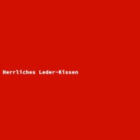 Herrliches Leder-Kissen