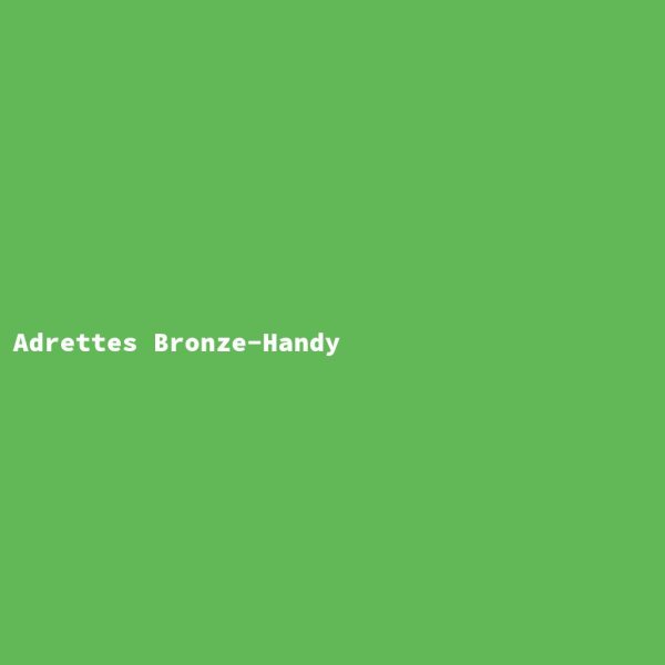 Adrettes Bronze-Handy
